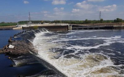 Fancy Fries – February Diary